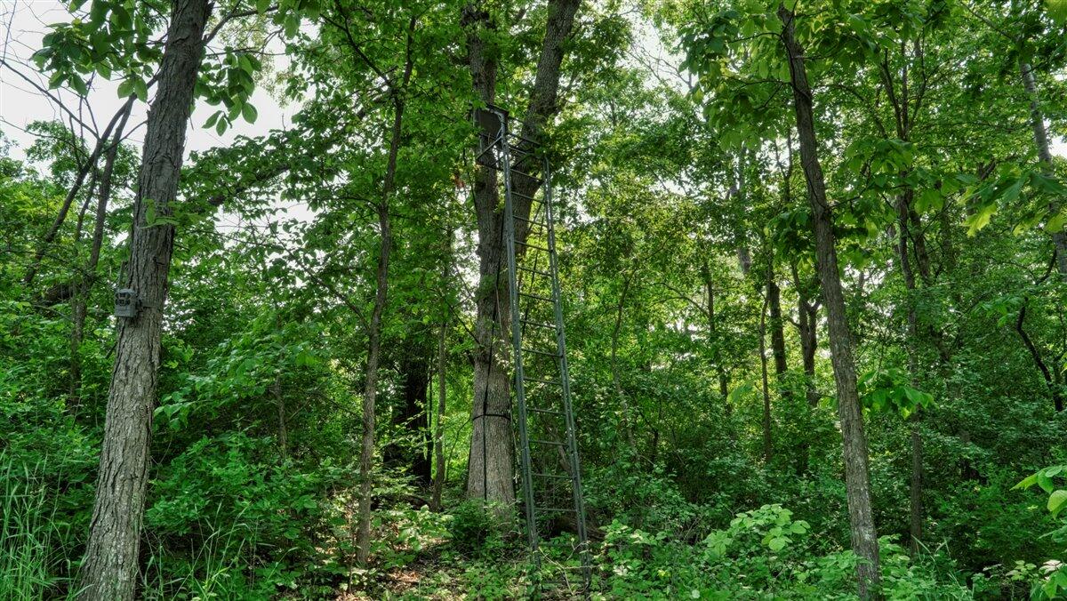 Twenty-One-Acre Hidden Gem in Vernon County WI