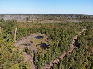 South Carolina Hunting Land for Sale