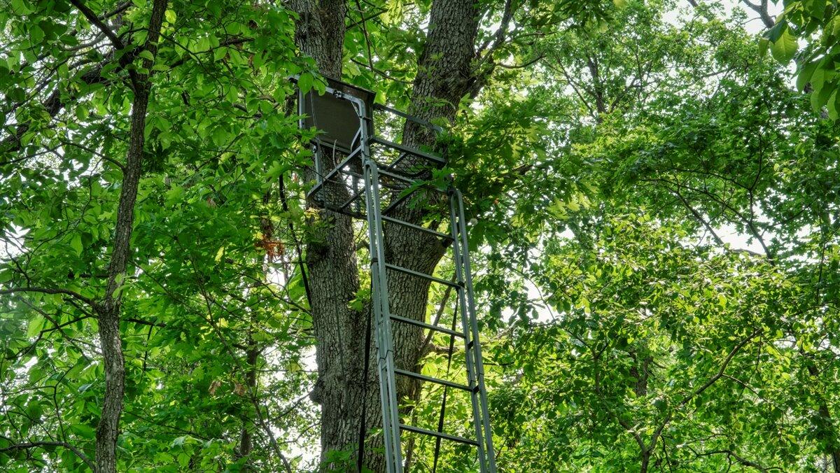Twenty-One-Acre Hidden Gem in Vernon County WI