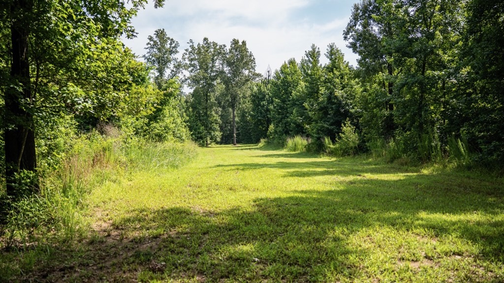 Hunting Land in Claiborne County, MS – The Reagan Tract