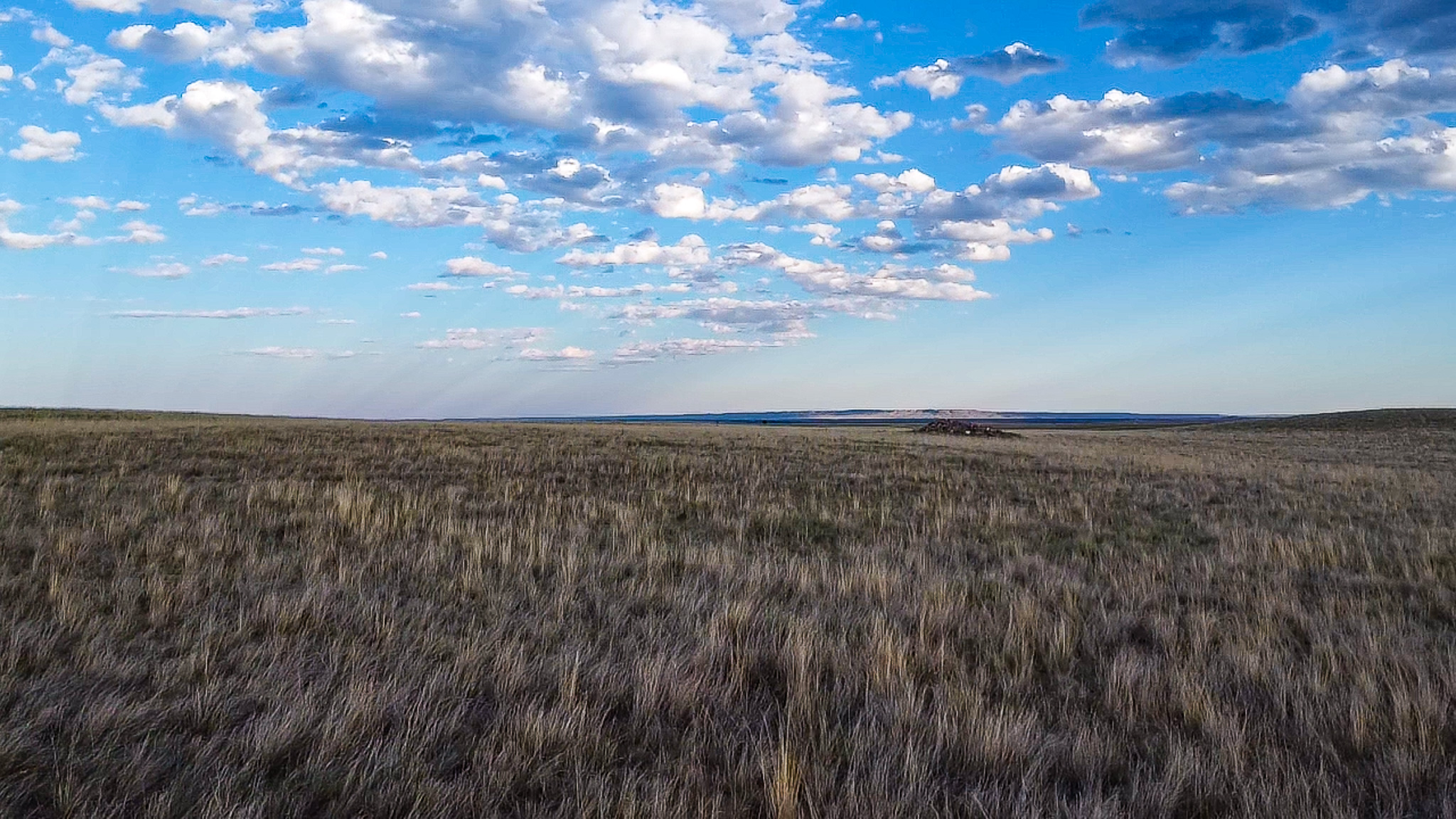 Norman Mavencamp Ranch
