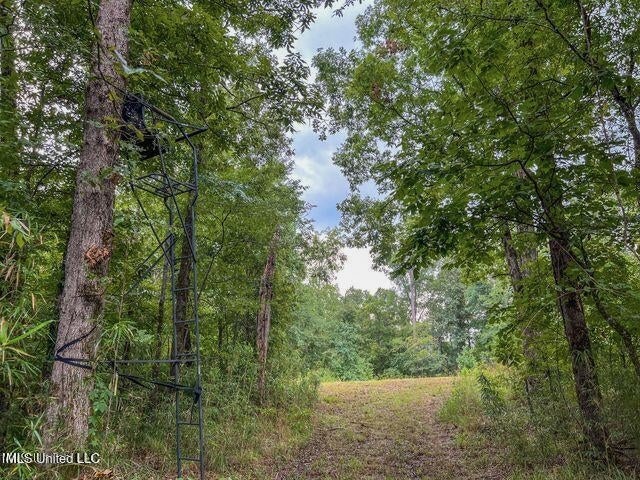 95 Acres of Prime Hunting Property in Hinds County