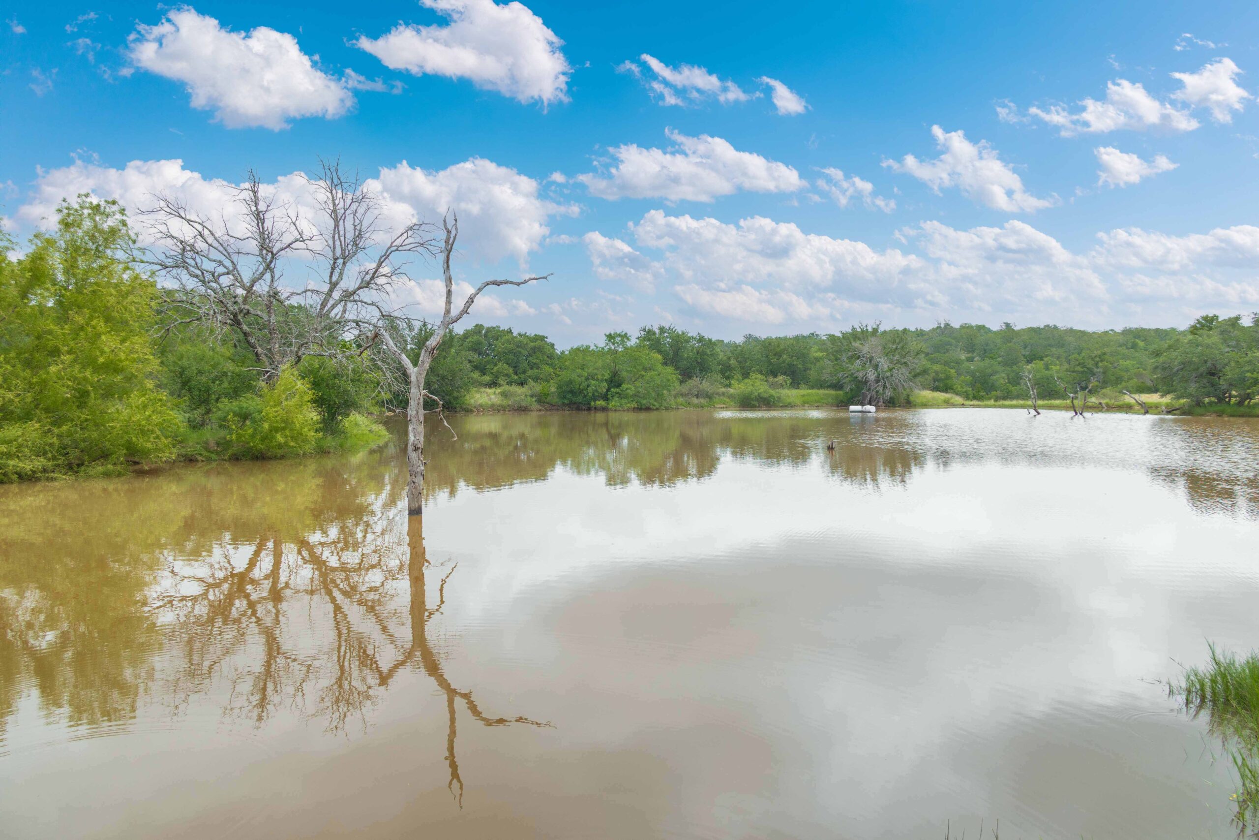 Country Ranch and hunting paradise on 333.17 acres in San Saba County for sale