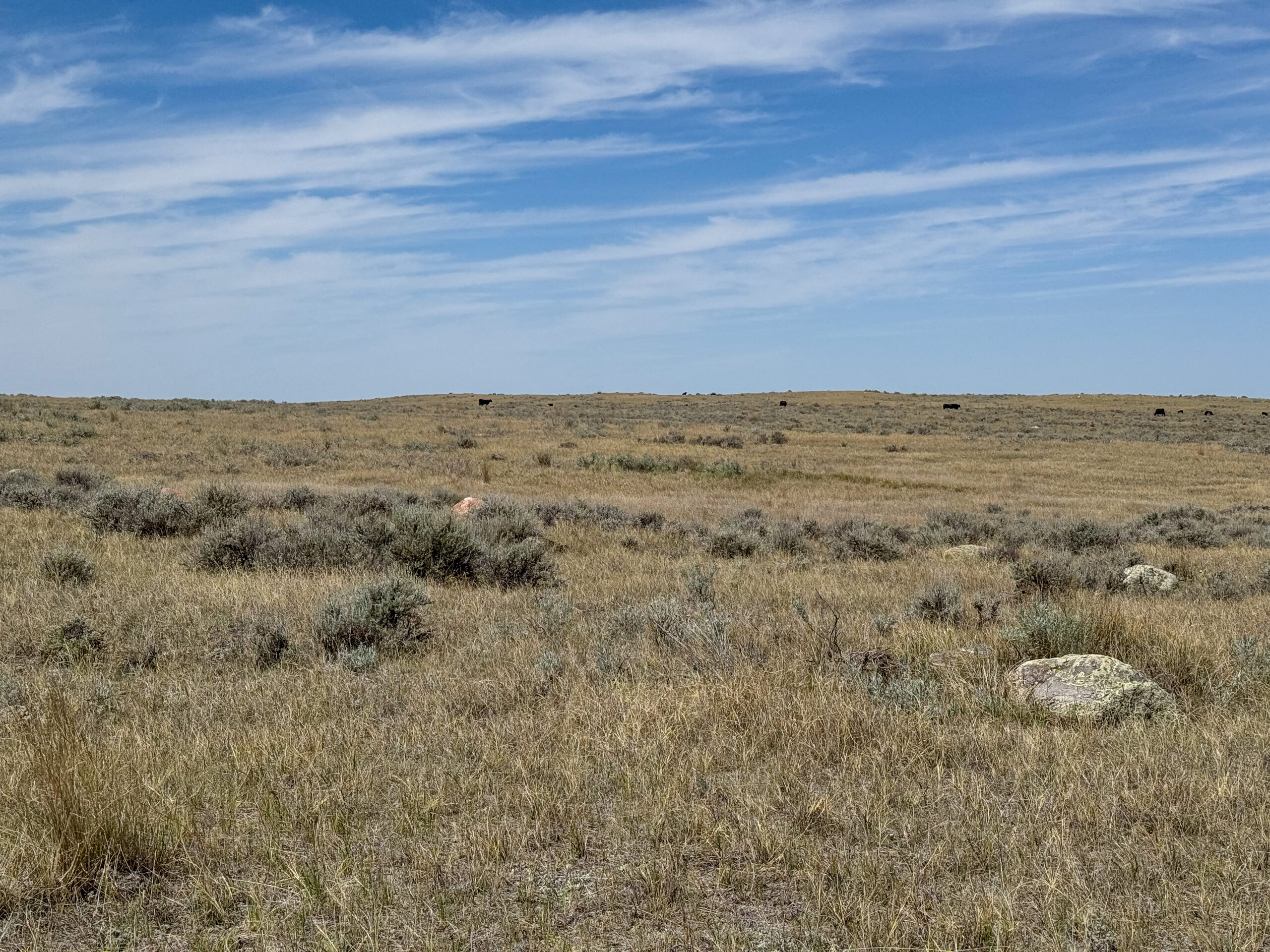 East Malta Irrigated Farm & Ranch – The Hould Property