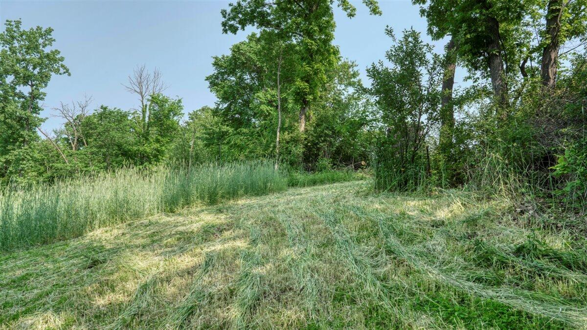 Twenty-One-Acre Hidden Gem in Vernon County WI