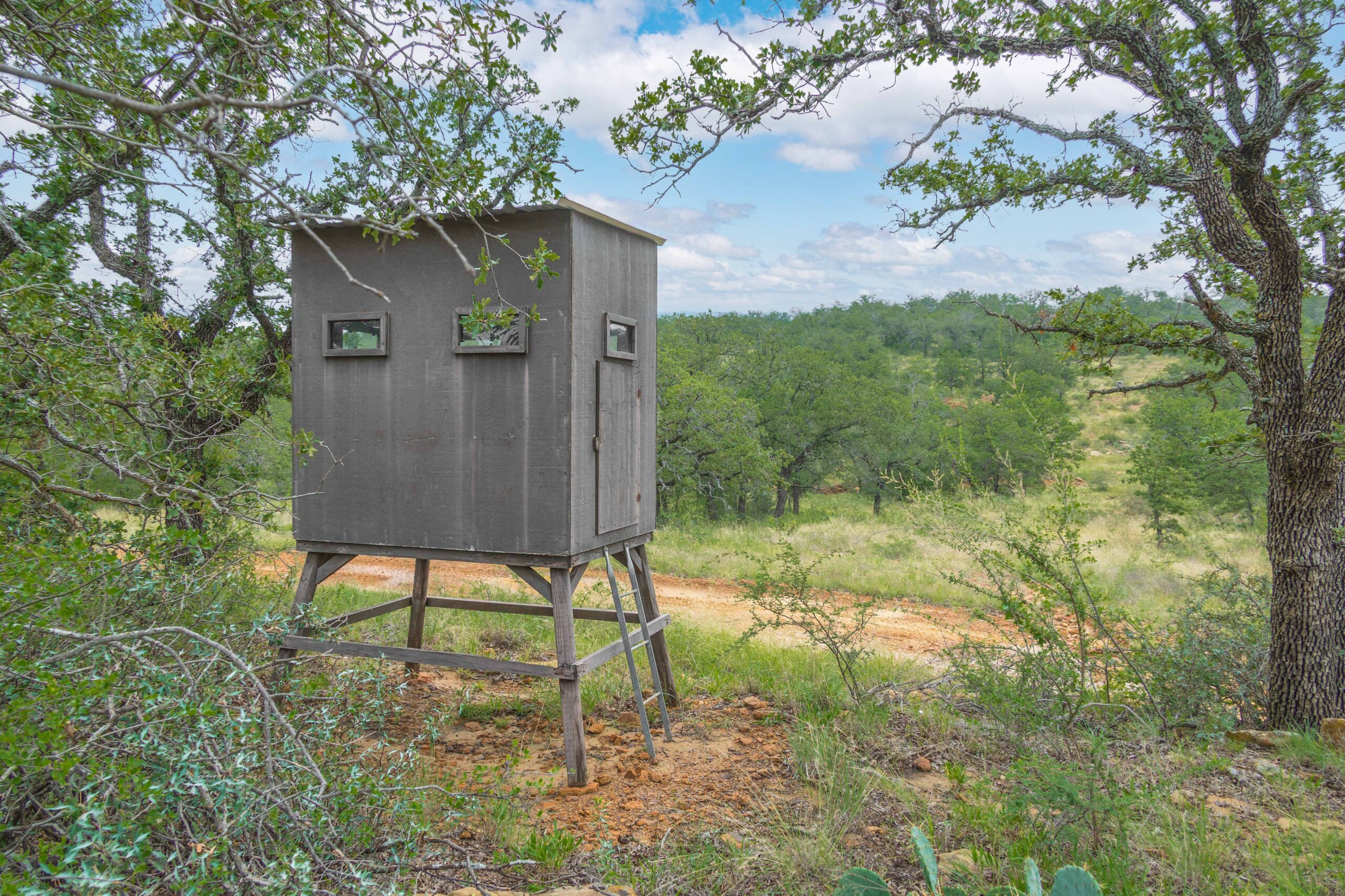 Country Ranch and hunting paradise on 333.17 acres in San Saba County for sale