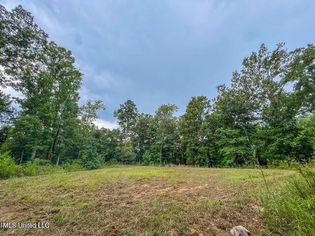 95 Acres of Prime Hunting Property in Hinds County