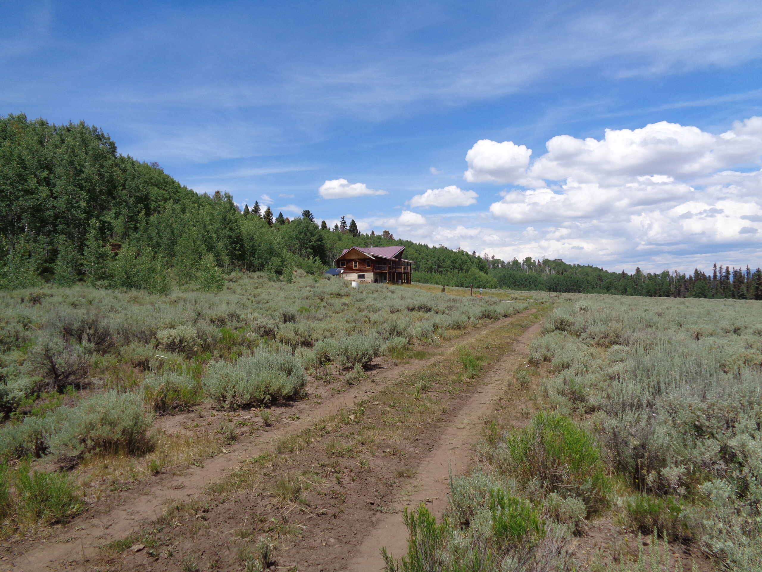 Cabin For Sale on 73 Acres in Colorado in GMU 66