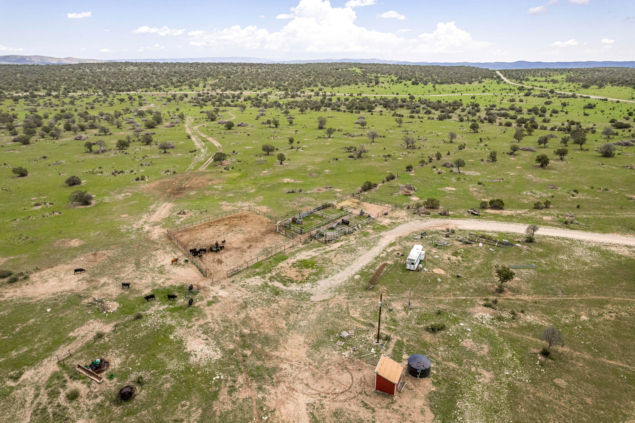 Cattle & Hunting Ranch for Sale in Weed, NM