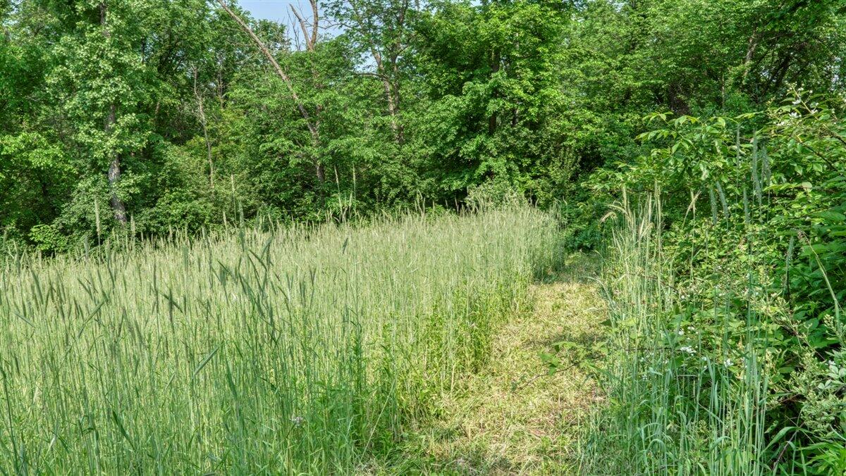 Twenty-One-Acre Hidden Gem in Vernon County WI