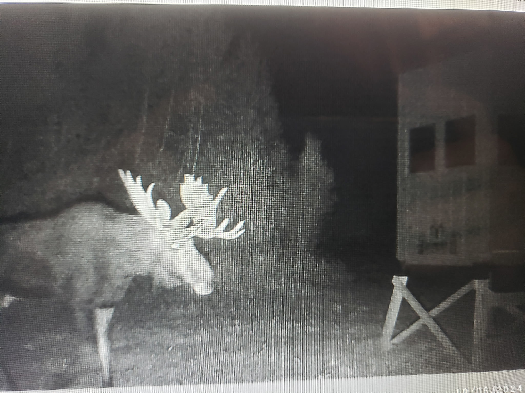 Maine Hunting and Recreational Timberland for Sale | 152± Acres in Carroll Plantation