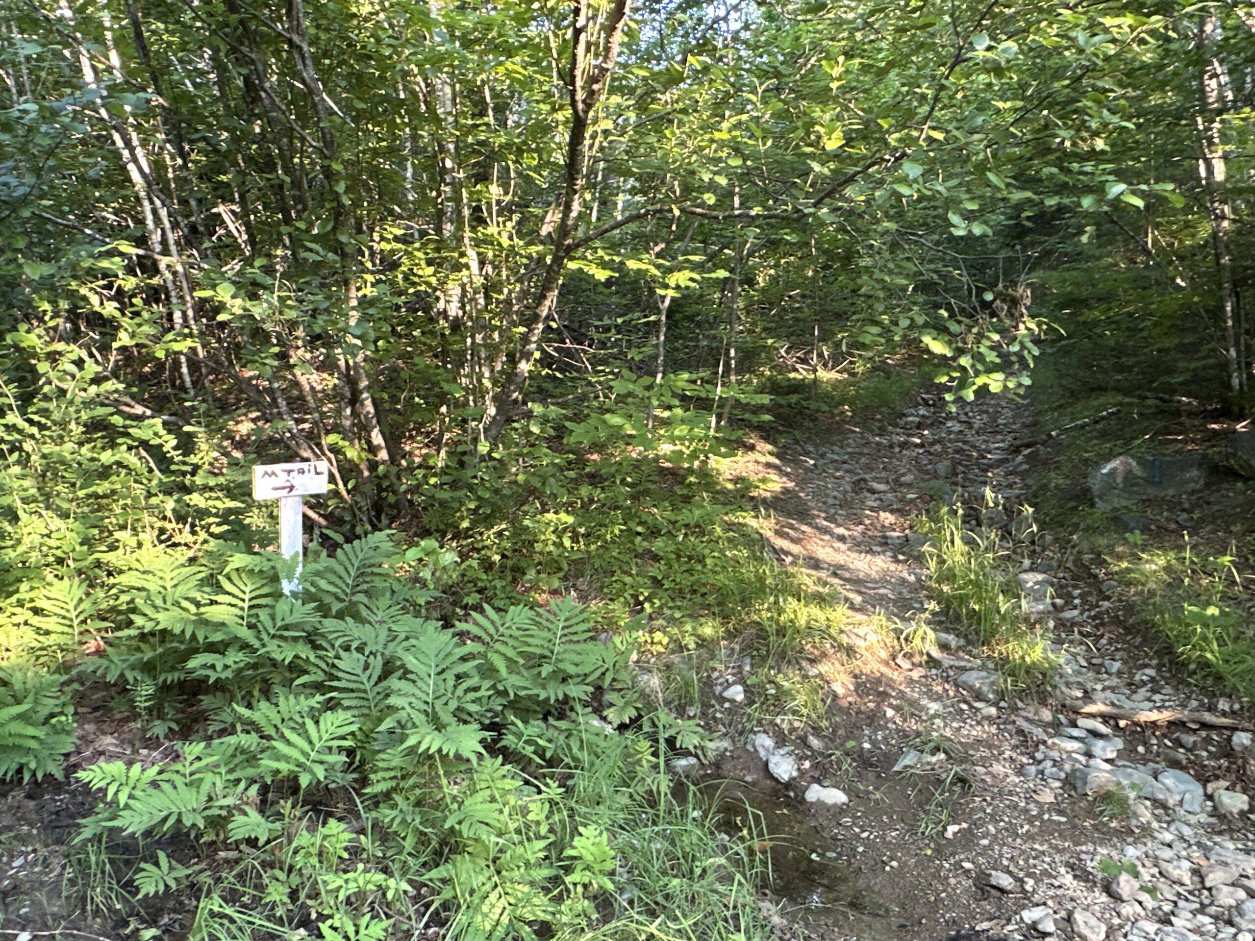 Off-Grid Cabin with 150± Acres Bordering Mount Chase
