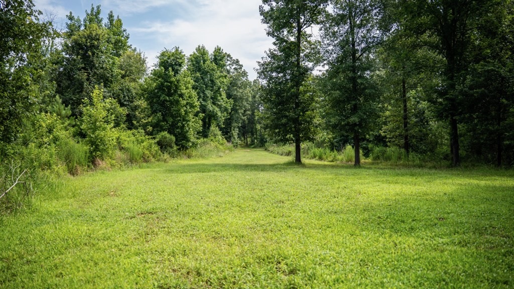 Hunting Land in Claiborne County, MS – The Reagan Tract
