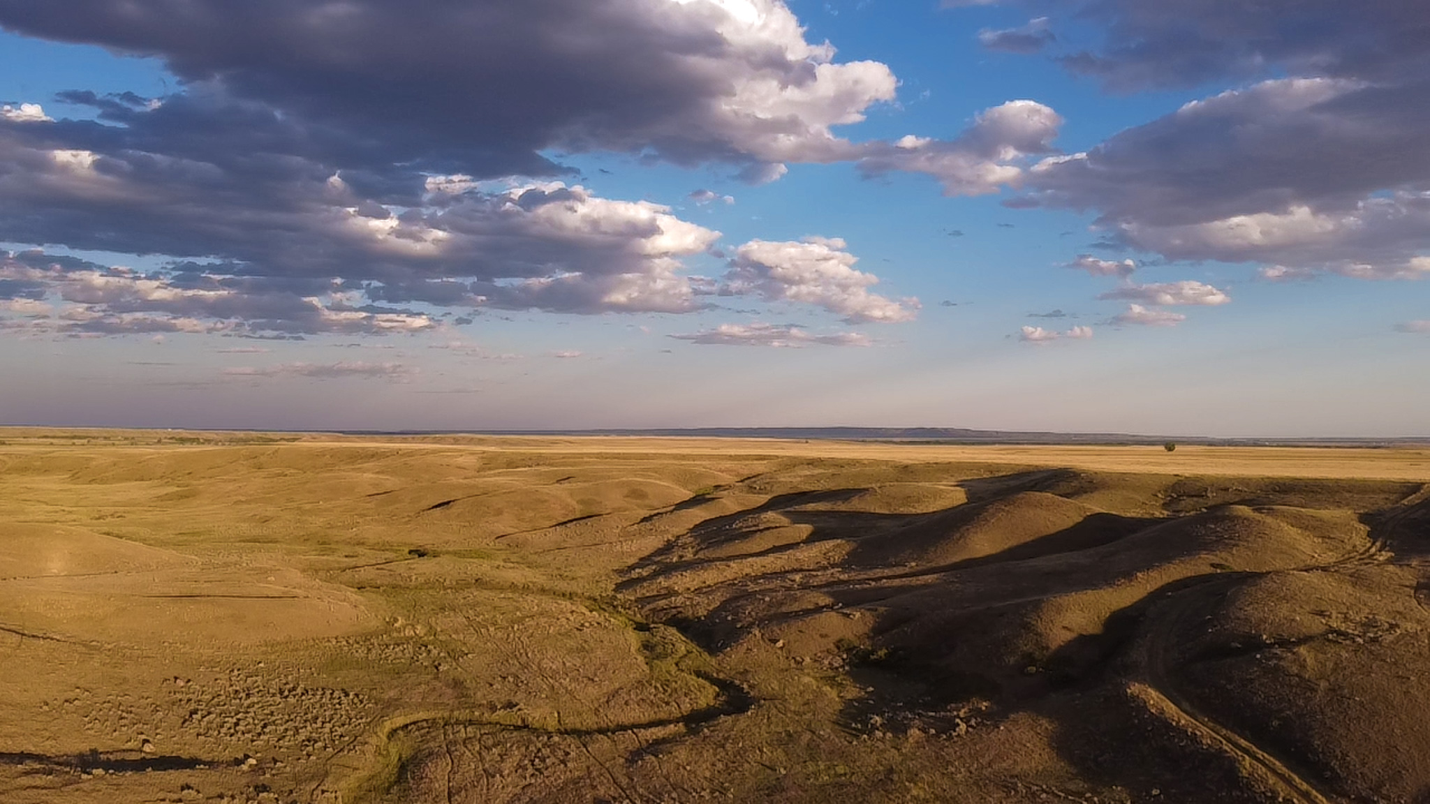 Norman Mavencamp Ranch