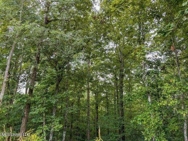 95 Acres of Prime Hunting Property in Hinds County