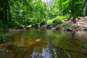 Land For Sale Barton County, MO 160± acres