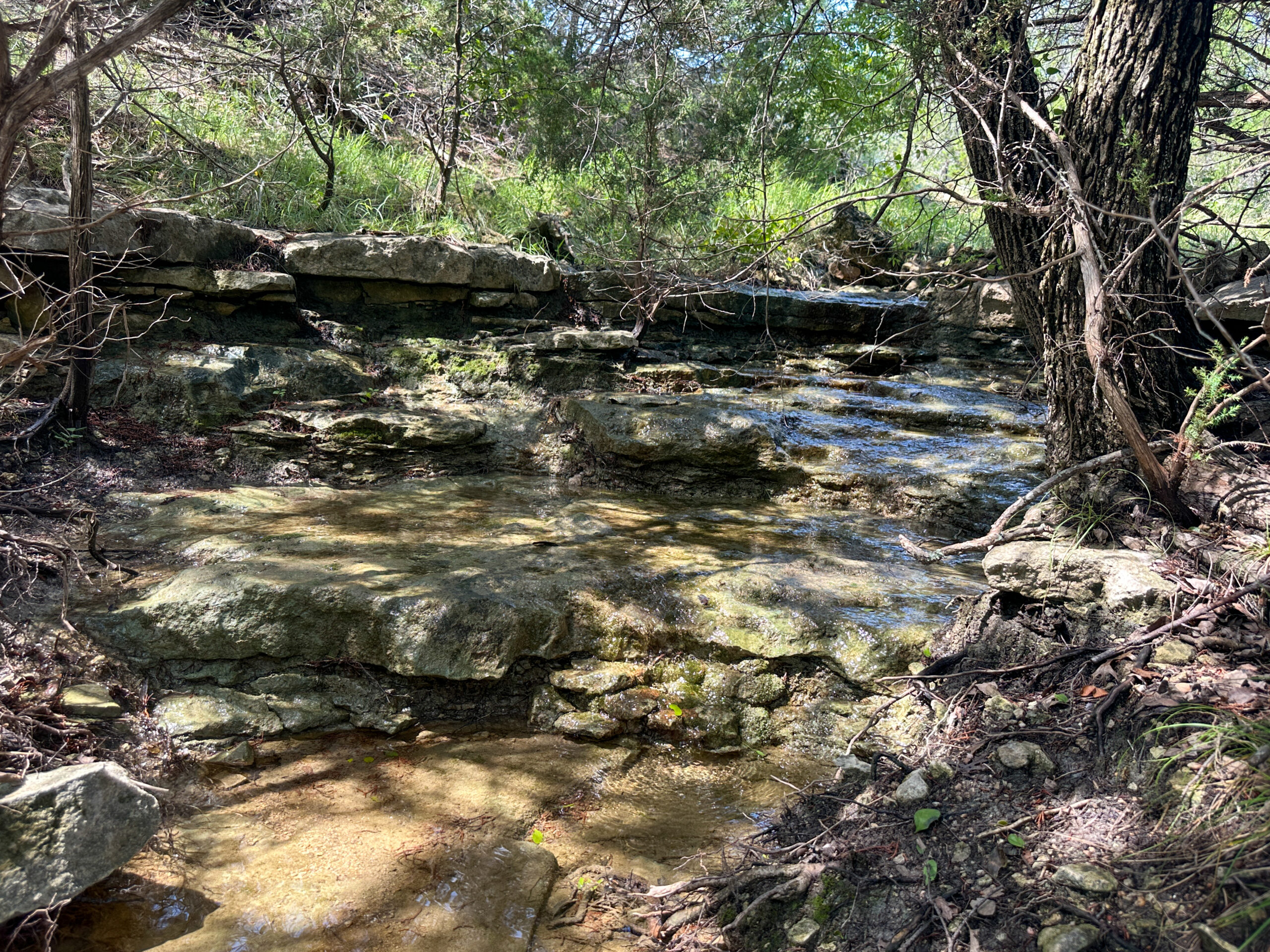 214±-Acre Luxury Texas Hill Country Ranch with 1,600′ Leon River Frontage near Gatesville