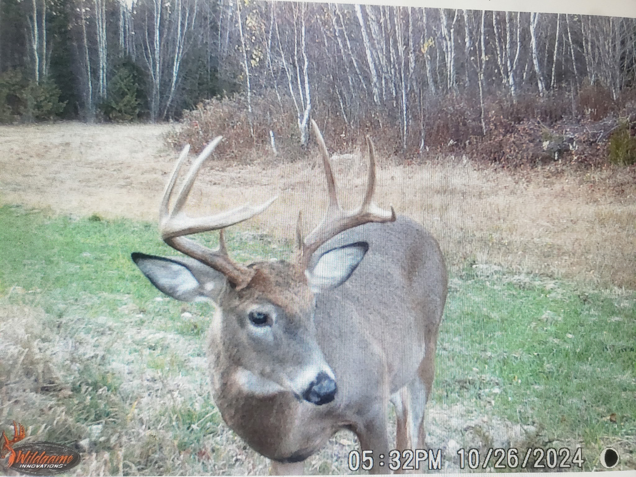 Maine Hunting and Recreational Timberland for Sale | 152± Acres in Carroll Plantation