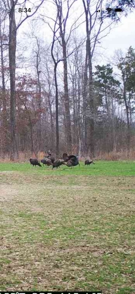 Hunting Land in Claiborne County, MS – The Reagan Tract