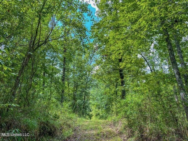 95 Acres of Prime Hunting Property in Hinds County