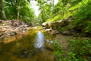 Land For Sale Barton County, MO 160± acres
