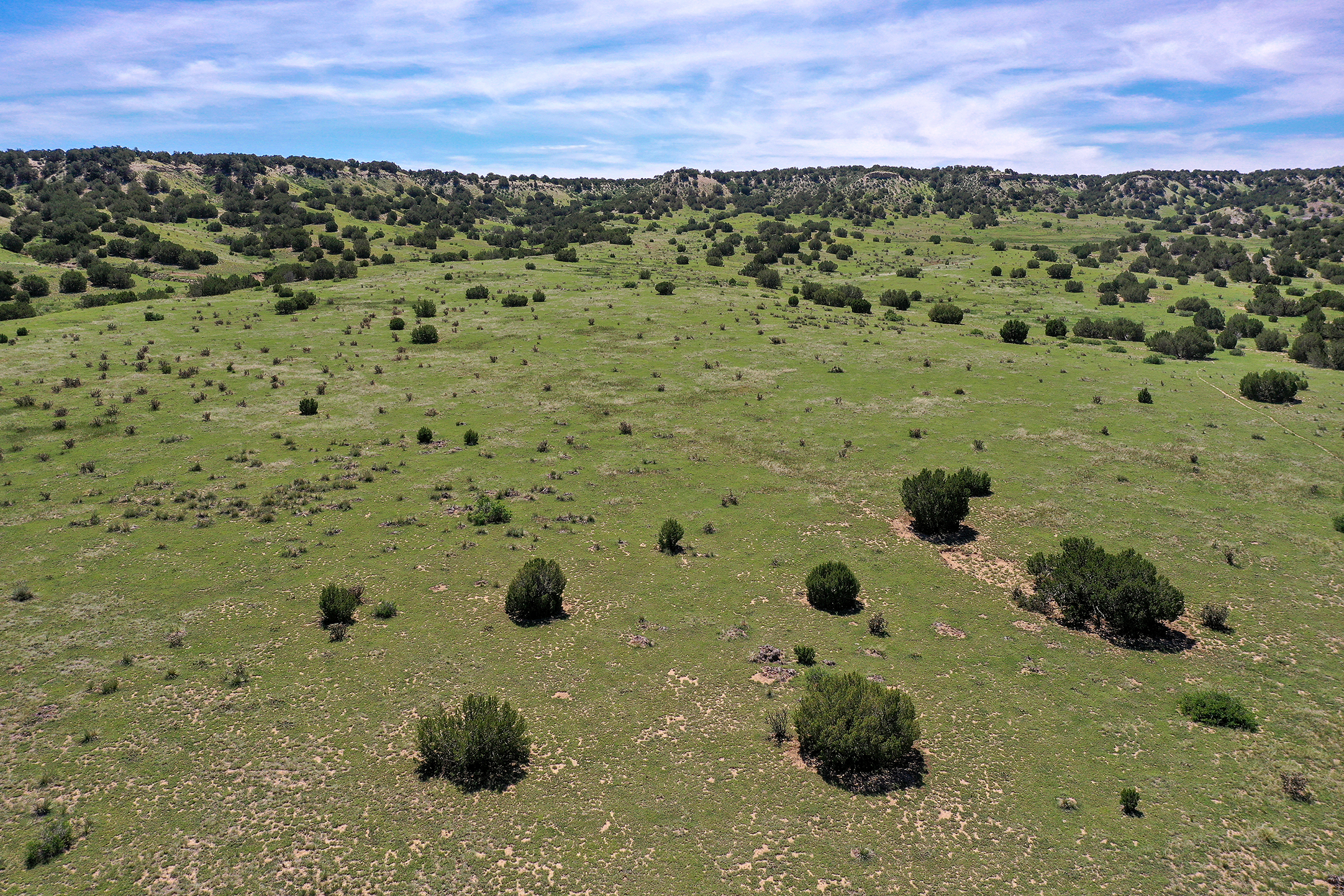 Burnt Mill Ranch – 643± Acres of Prime Colorado Ranchland