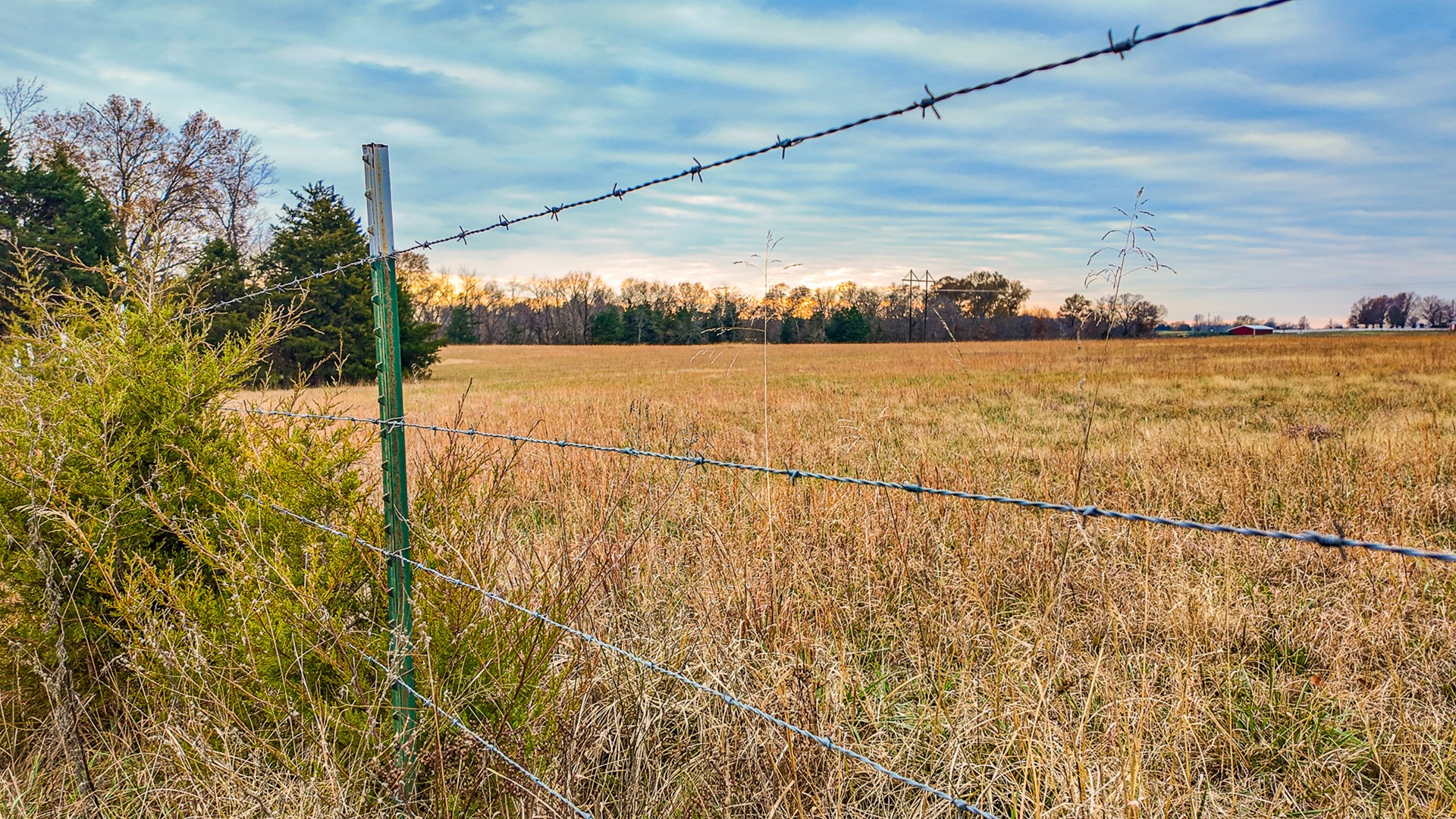293 +/- acre hunting property for sale Lowry City MO