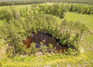 Land for Sale in Amite County, MS