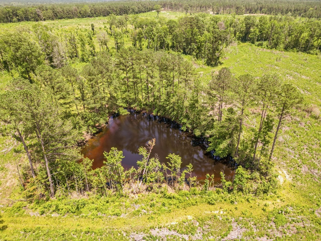 Land for Sale in Amite County, MS