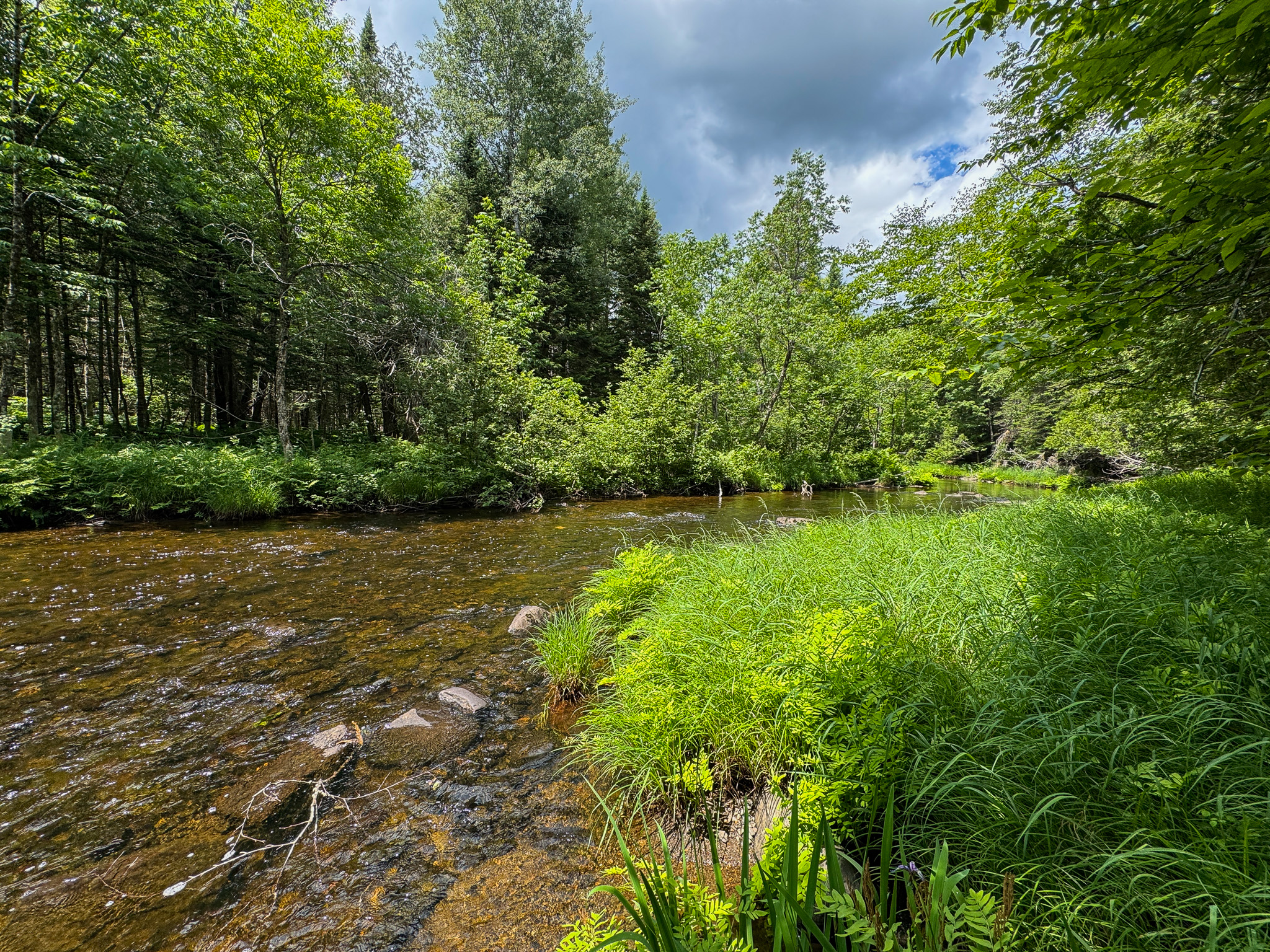 Private Cabin Retreat on 20 Acres with Stream Frontage