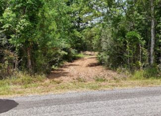 Small Hunting Tract FOR SALE in Amite County, MS