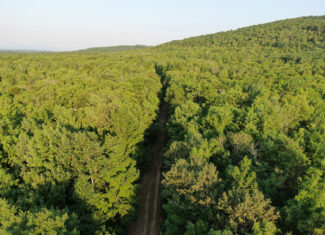 80± Acres of Off-Grid Mountain Land in Mount Chase, Maine