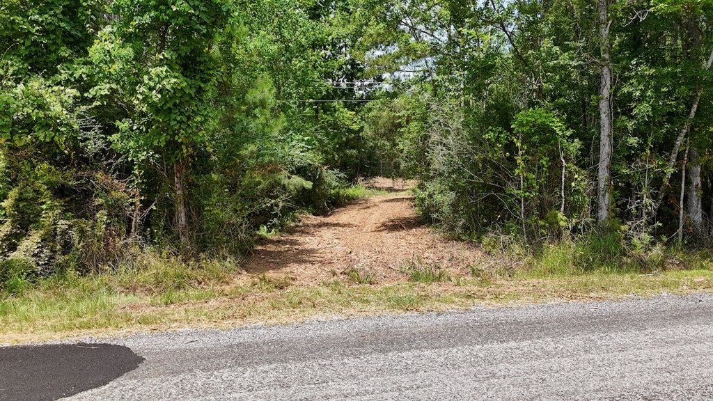 Small Hunting Tract FOR SALE in Amite County, MS