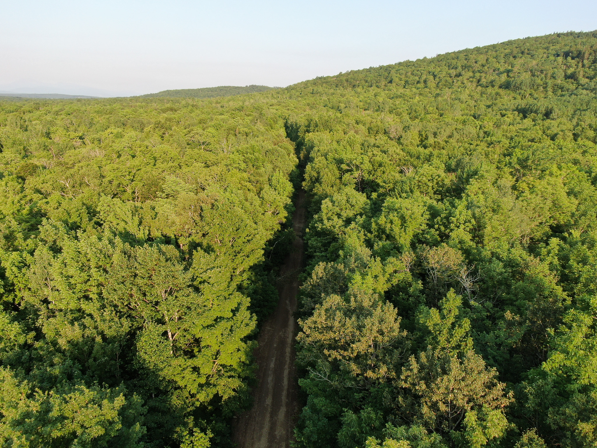 80± Acres of Off-Grid Mountain Land in Mount Chase, Maine