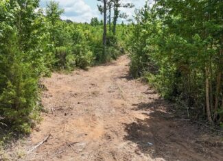 Small Hunting Tract FOR SALE in Amite County, MS
