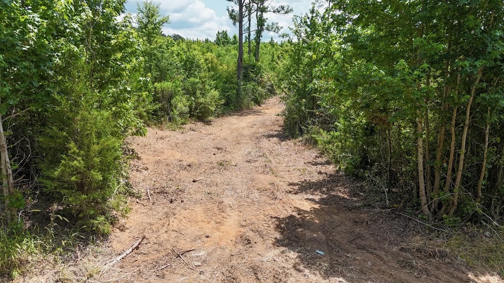 Small Hunting Tract FOR SALE in Amite County, MS