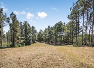 Amite County Hunting Land – The Winding 41