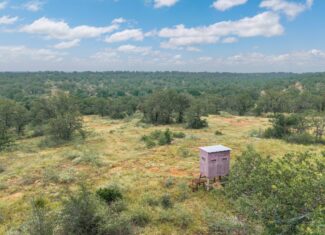 Country Ranch and hunting paradise on 333.17 acres in San Saba County for sale