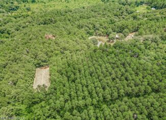 Turn-Key Hunting Land for Sale in Magnolia, Mississippi