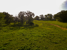 142+\- acres  For Sale El Dorado Springs MO
