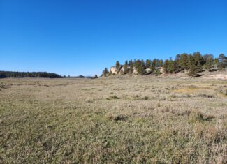 155 Acres of Hunting and Recreation Land in CO