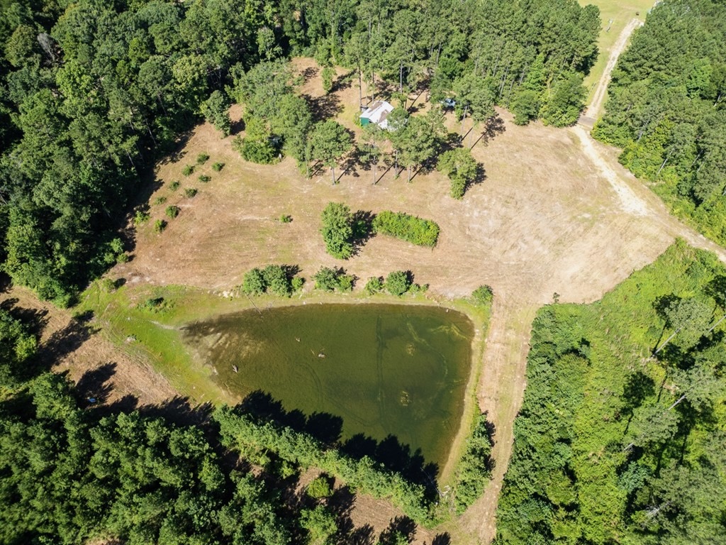 Osyka MS Hunting Land with Pond – Pike 38
