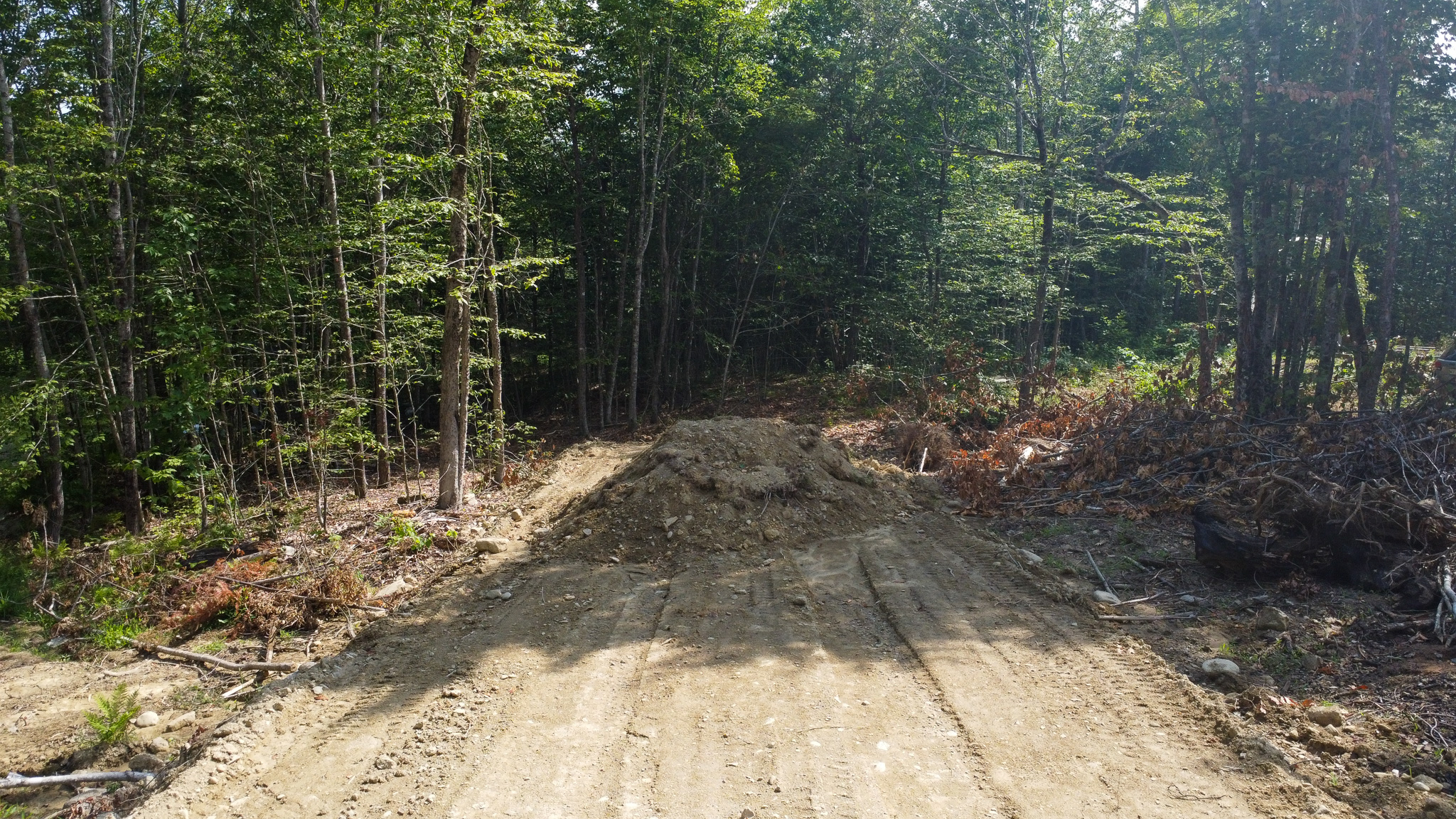 35± Acres with 1500 feet on the Brook