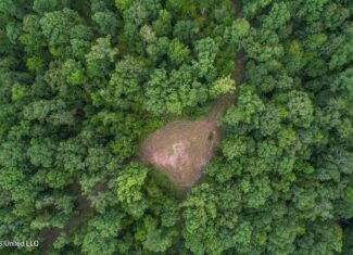 95 Acres of Prime Hunting Property in Hinds County