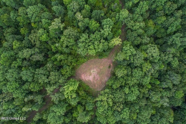 95 Acres of Prime Hunting Property in Hinds County