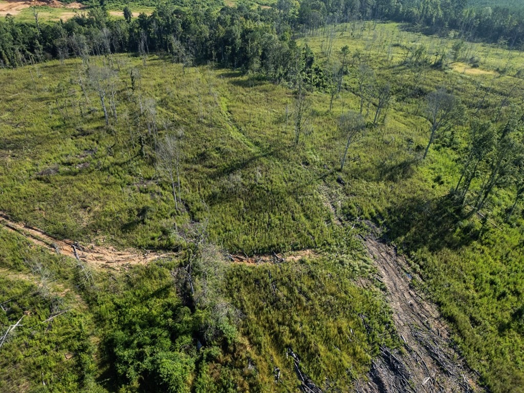 Gloster MS Hunting & Investment Land for Sale – 84 Acres