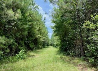 67 Acres For Sale Lawrence County MS