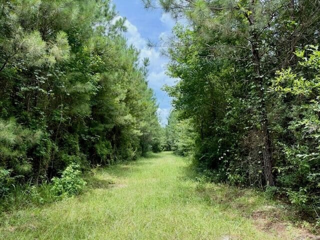 67 Acres For Sale Lawrence County MS