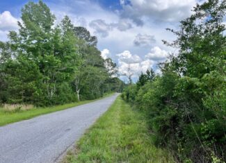 Land for Sale in Amite County, MS