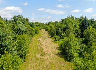 Maine Hunting and Recreational Timberland for Sale | 152± Acres in Carroll Plantation